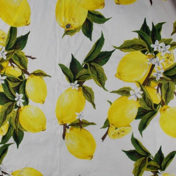 Retro Lemon Swing Circle Skirt High Waist - Picture 3 of 3